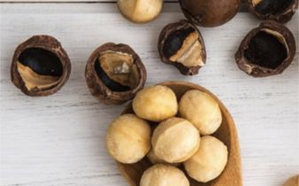 macadamia