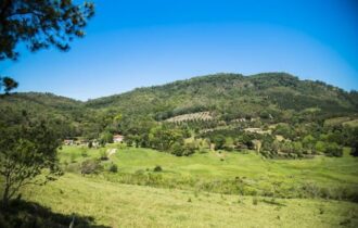 agricultura sustentavel