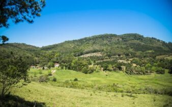 agricultura sustentavel