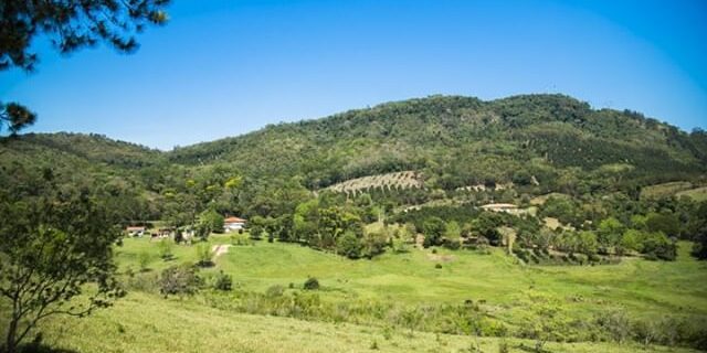 agricultura sustentavel